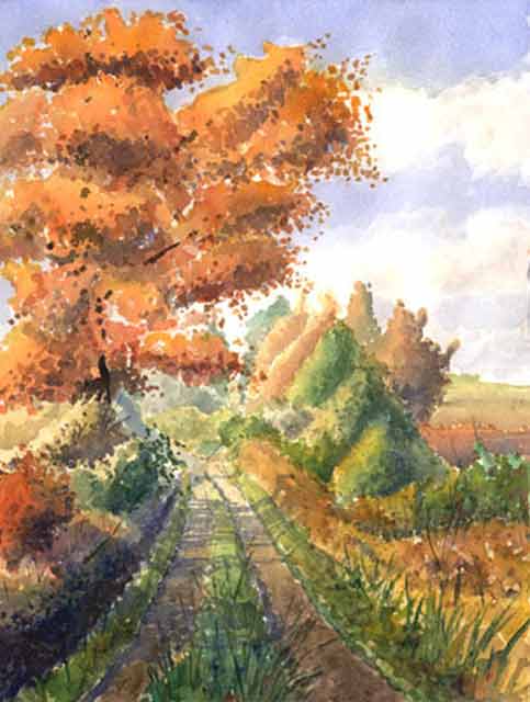 Country Road, Newtonville, Ontario